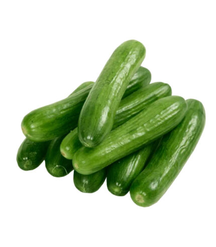 Cucumber